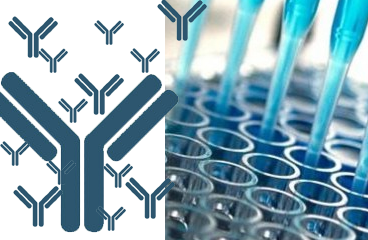 Human Rat Mouse Antibody ELISA Kits